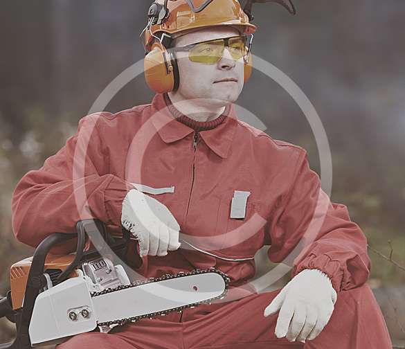 services_img.jpg