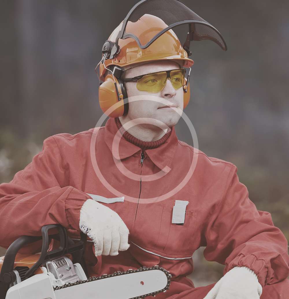 team3.jpg
